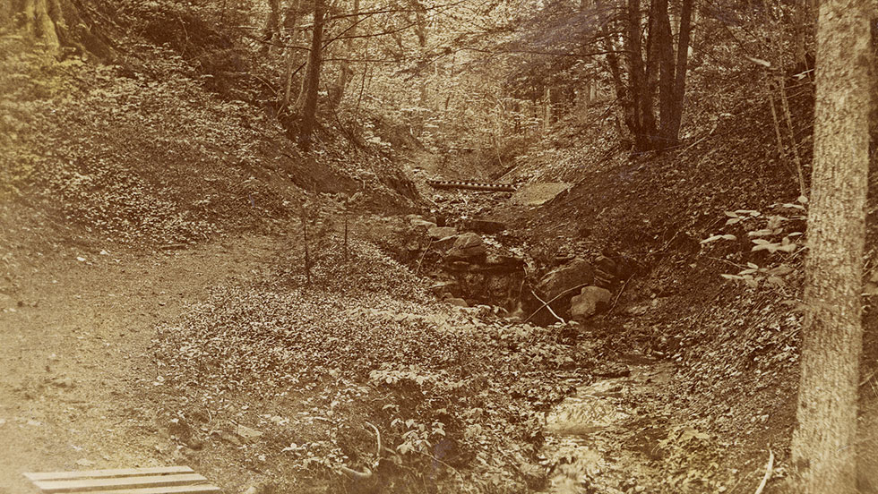 vitange photo of Root Glen