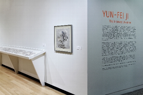  Exhibition installation view of "Yun-Fei Ji: The Intimate Universe." Photograph by John Bentham.