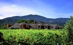 Cakebread Cellars in Napa Valley
