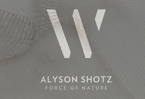 Alyson Shotz