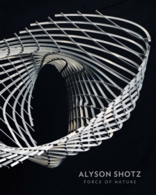 Alyson Shotz: Force of Nature