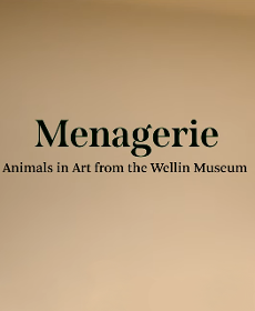 Menagerie | Exhibition Video