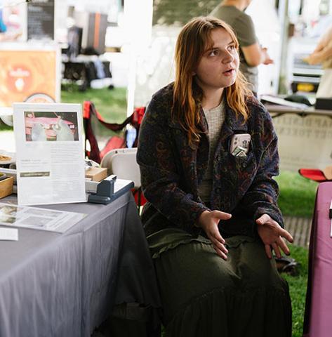 Curatorial Work from an Intern\'s Point of View